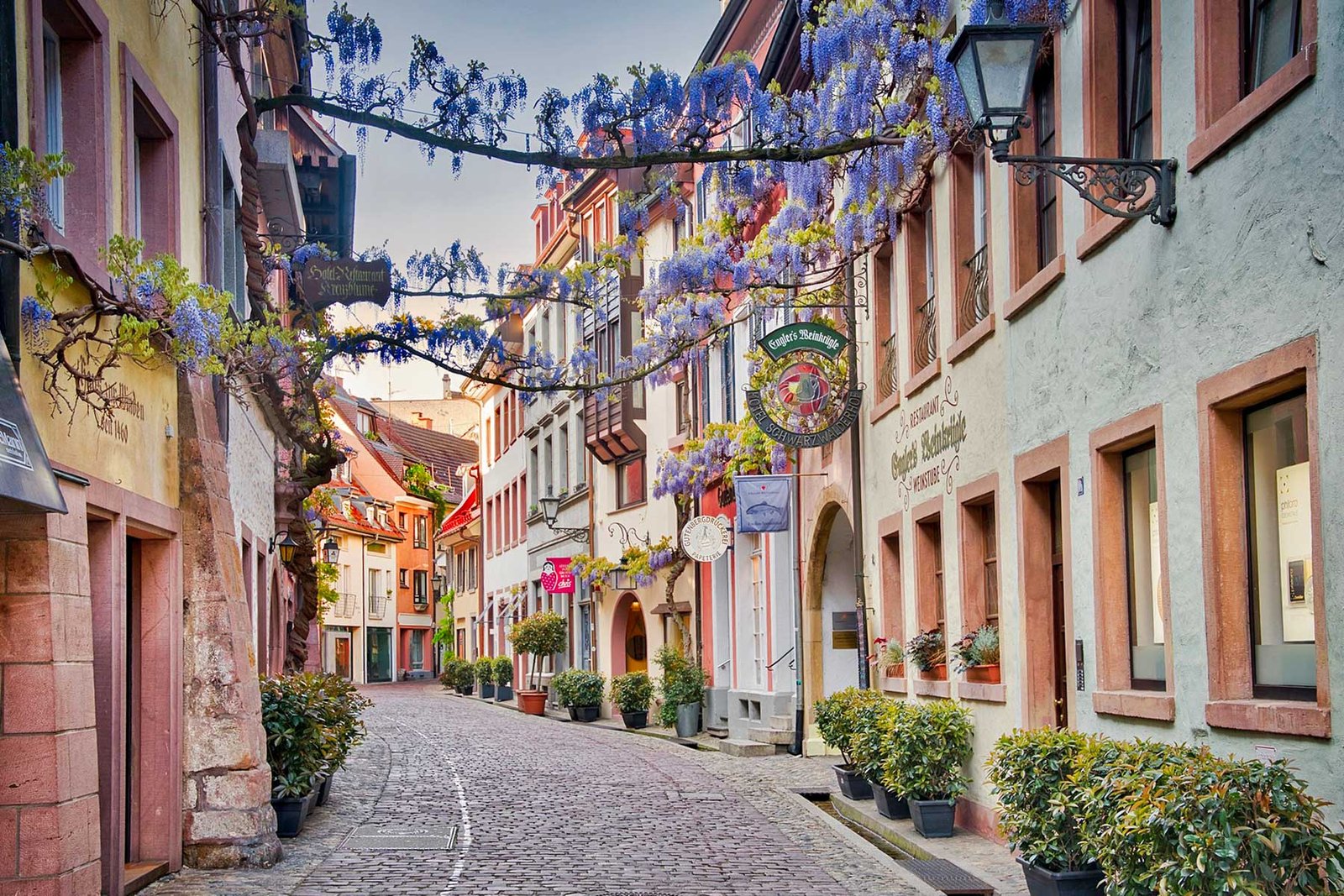 Zweisprachige Freiburger stadtfuehrung